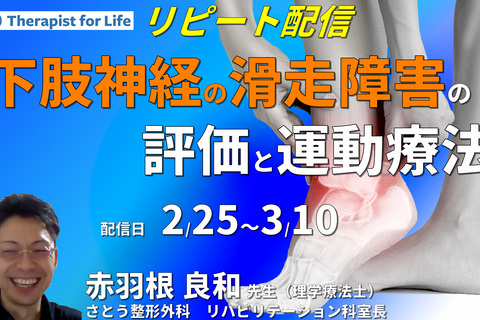 下肢の神経の滑走障害の評価と治療～骨・筋・神経の触診を中心に〜　講師：赤羽根良和先生