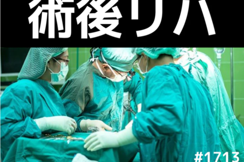 理学療法士・作業療法士向け整形外科疾患の術後リハの進め方｜人工肩関節置換術後リハを考える