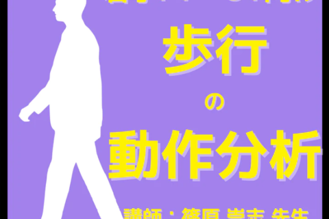 若手理学療法士・作業療法士のための歩行動作分析のための基礎知識