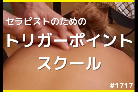 セラピストのための明日から使えるトリガーポイントの基礎理論｜トリガーポイントスクール