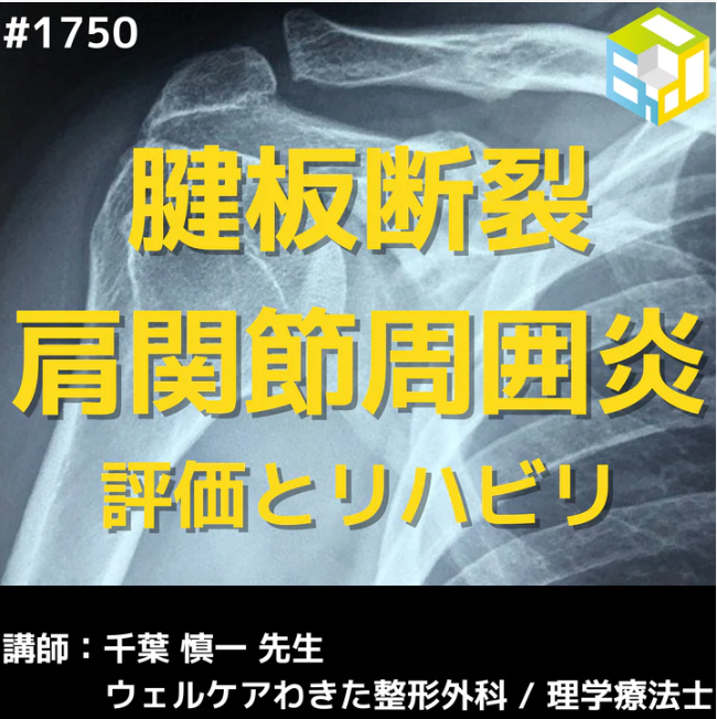肩関節のリハビリテーション|肩関節周囲炎・腱板断裂に対するアプローチを学ぶ