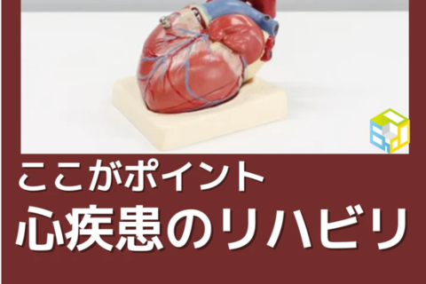 PT・OTが学ぶべき心疾患のリハビリの進め方｜ここがポイント！　モニター心電図の読み方とリスク管理