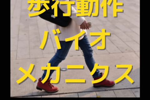 歩行動作のリハビリに役立つバイオメカニクスと治療理論