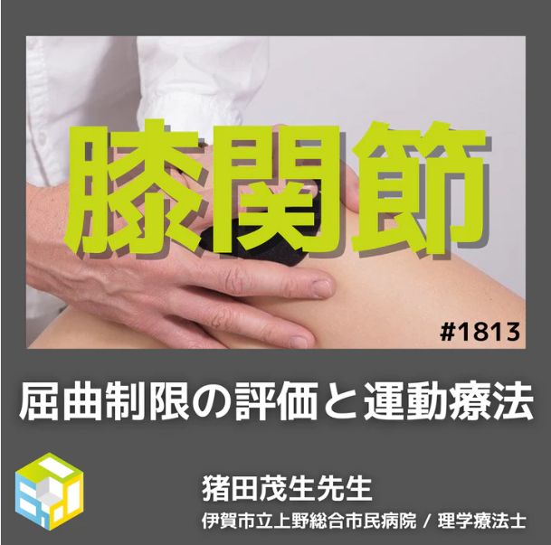 PT・OTが覚えておくべき膝関節屈曲制限の制限因子の推測方法と運動療法