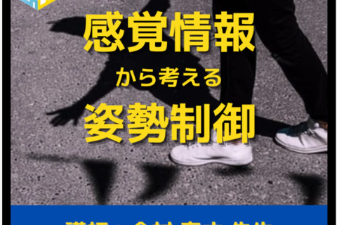 感覚情報から考える姿勢制御とリハビリテーションの進め方