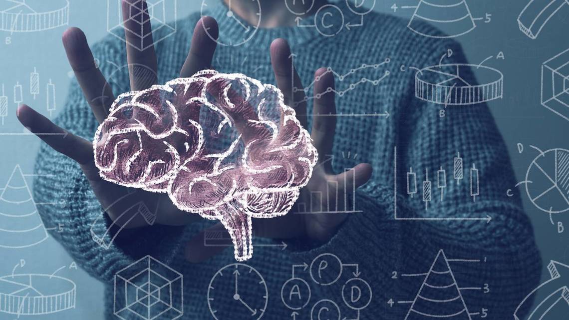 【オンラインセミナー】 新人から学べるPT・OT・STのための基礎から学ぶ脳画像の診かた