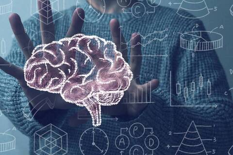 【オンラインセミナー】 新人から学べるPT・OT・STのための基礎から学ぶ脳画像の診かた