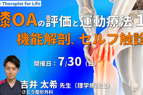 臨床に多い内側部と前面部痛を呈した変形性膝関節症の評価と運動療法１～機能解剖、セルフ触診、神経の圧痛の取り方など～　講師：吉井太希先生