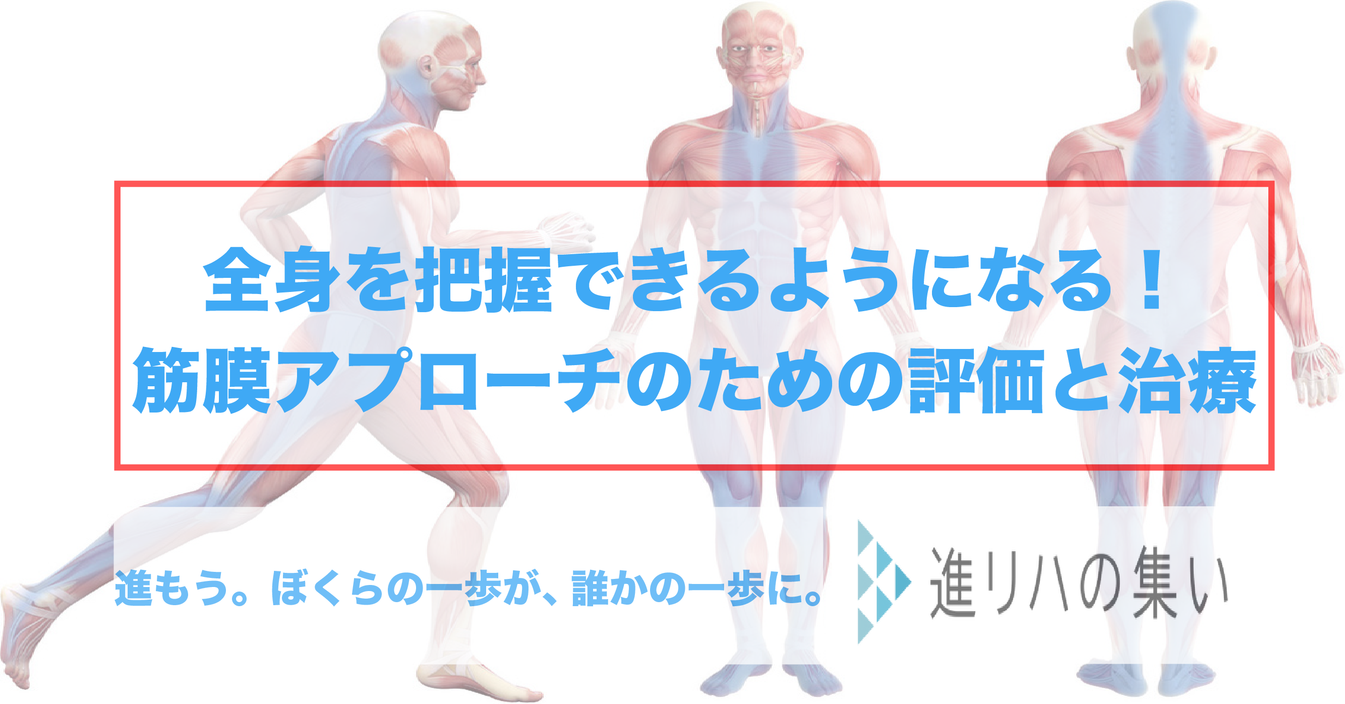  【オンラインセミナー】全身を把握できるようになる‼️筋膜アプローチのための評価と治療 　（概要編・評価触診編・治療編①②③④）