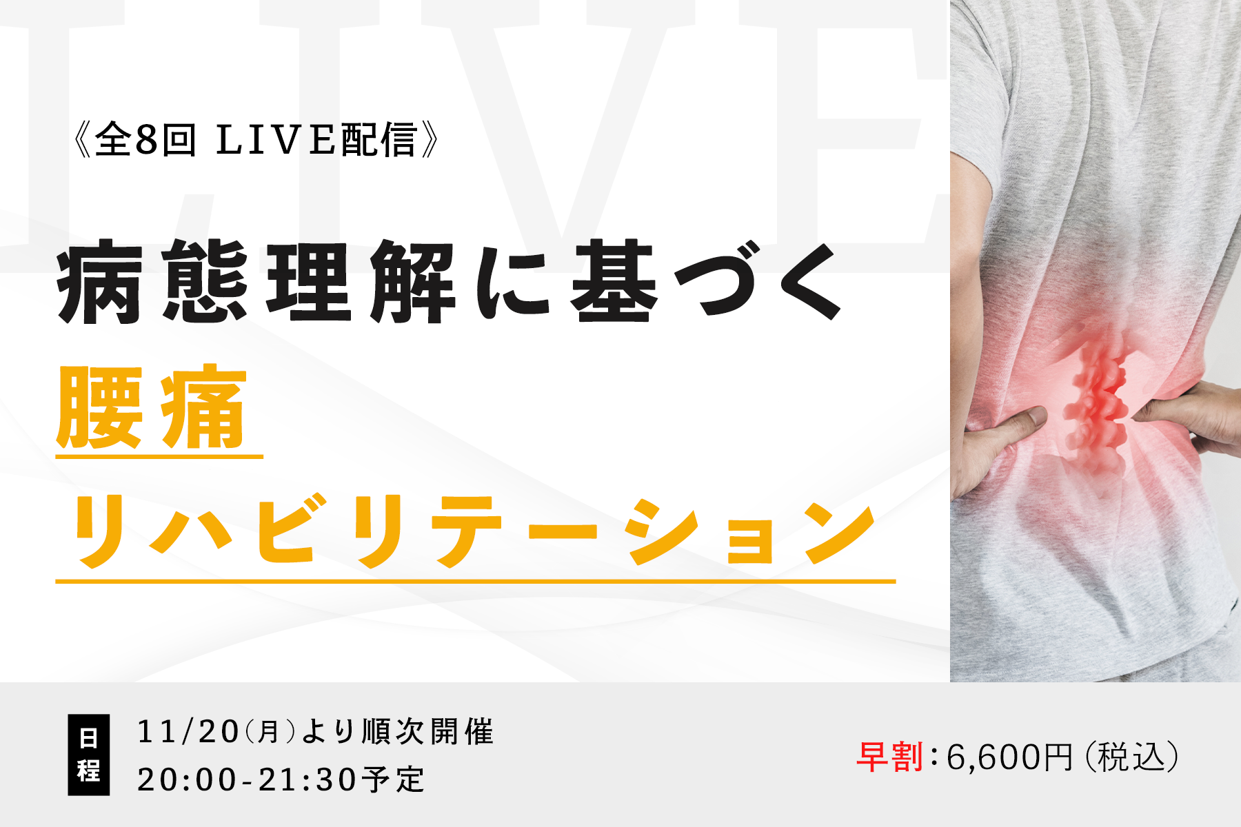 病態理解に基づく腰痛リハビリテーション