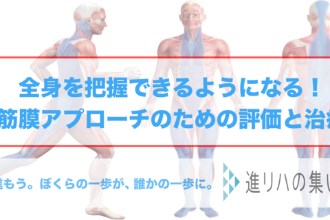  【オンラインセミナー】全身を把握できるようになる‼️筋膜アプローチのための評価と治療 　（概要編・評価触診編・治療編①②③④）