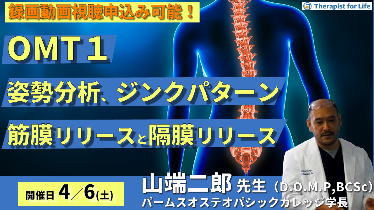 第７期【OMT】姿勢分析、ジンクパターン、筋膜・間接障壁の触診、筋膜・隔膜リリース、靭帯性ストレイン（ボウストリング）　講師：山端二郎先生