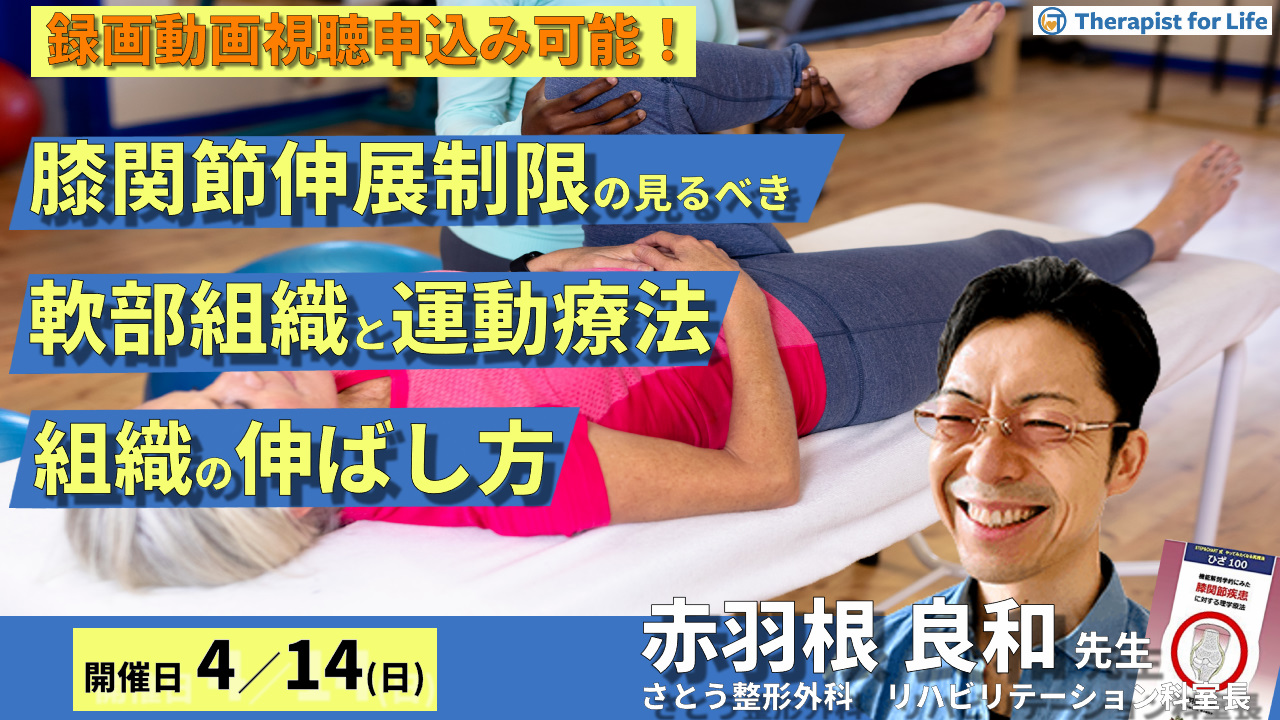 膝関節伸展制限の見るべき軟部組織と運動療法～膝関節伸展制限に影響を与える組織の伸ばし方～　講師：赤羽根良和先生