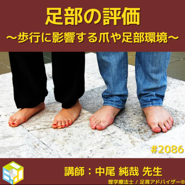 セラピストが学ぶべきフットケア・足部環境の考え方|爪や皮膚トラブル・靴がどう歩行に影響するのか?