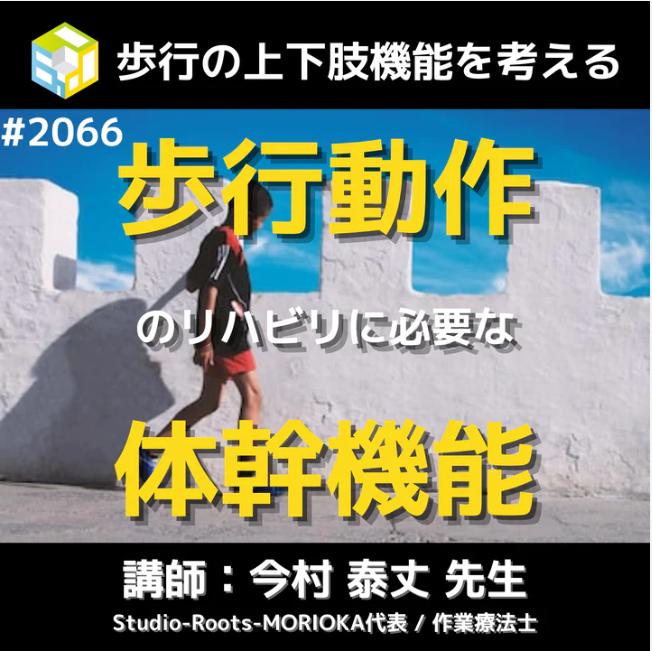 基礎から学ぶ歩行の評価｜上肢と体幹の機能評価とリハビリ