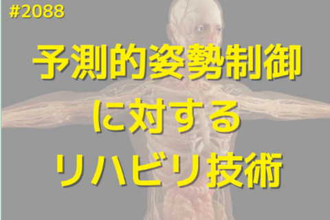 基礎から学ぶ歩行の予測的姿勢制御とその治療技術｜姿勢と歩行の「APA」を極める
