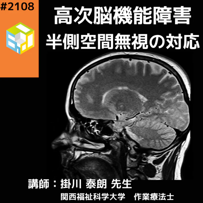 基礎から学ぶ高次脳機能障害|半側空間無視の理解とリハビリ