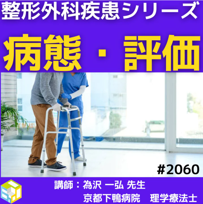 基礎から学ぶ脊椎疾患の病態理解とリハビリテーション|脊柱管狭窄症について