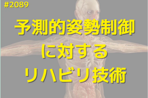 基礎から学ぶ歩行の予測的姿勢制御とその治療技術｜パターン分類で極める方法