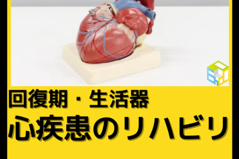 回復期・生活期で働くセラピスト向け循環器疾患介入のヒントとコツ｜心不全と身体所見