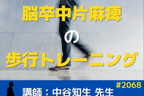 脳卒中片麻痺の歩行動作獲得で覚えておきたい100のルール　一括申込