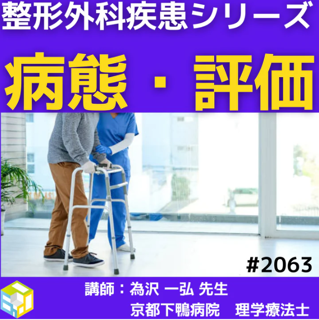 基礎から学ぶ股関節疾患の病態理解とリハビリテーション|股関節唇損傷について