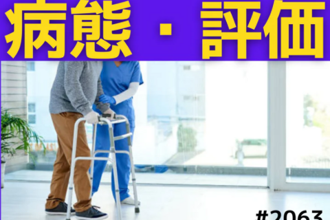 基礎から学ぶ股関節疾患の病態理解とリハビリテーション｜股関節唇損傷について