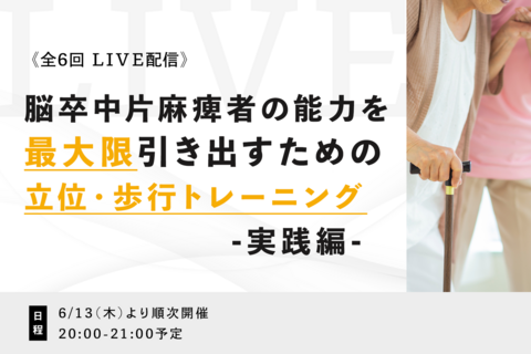 脳卒中片麻痺者の能力を最大限引き出すための立位・歩行トレーニングの実践　～課題指向型トレーニングで陥りやすいポイントと必要な工夫～