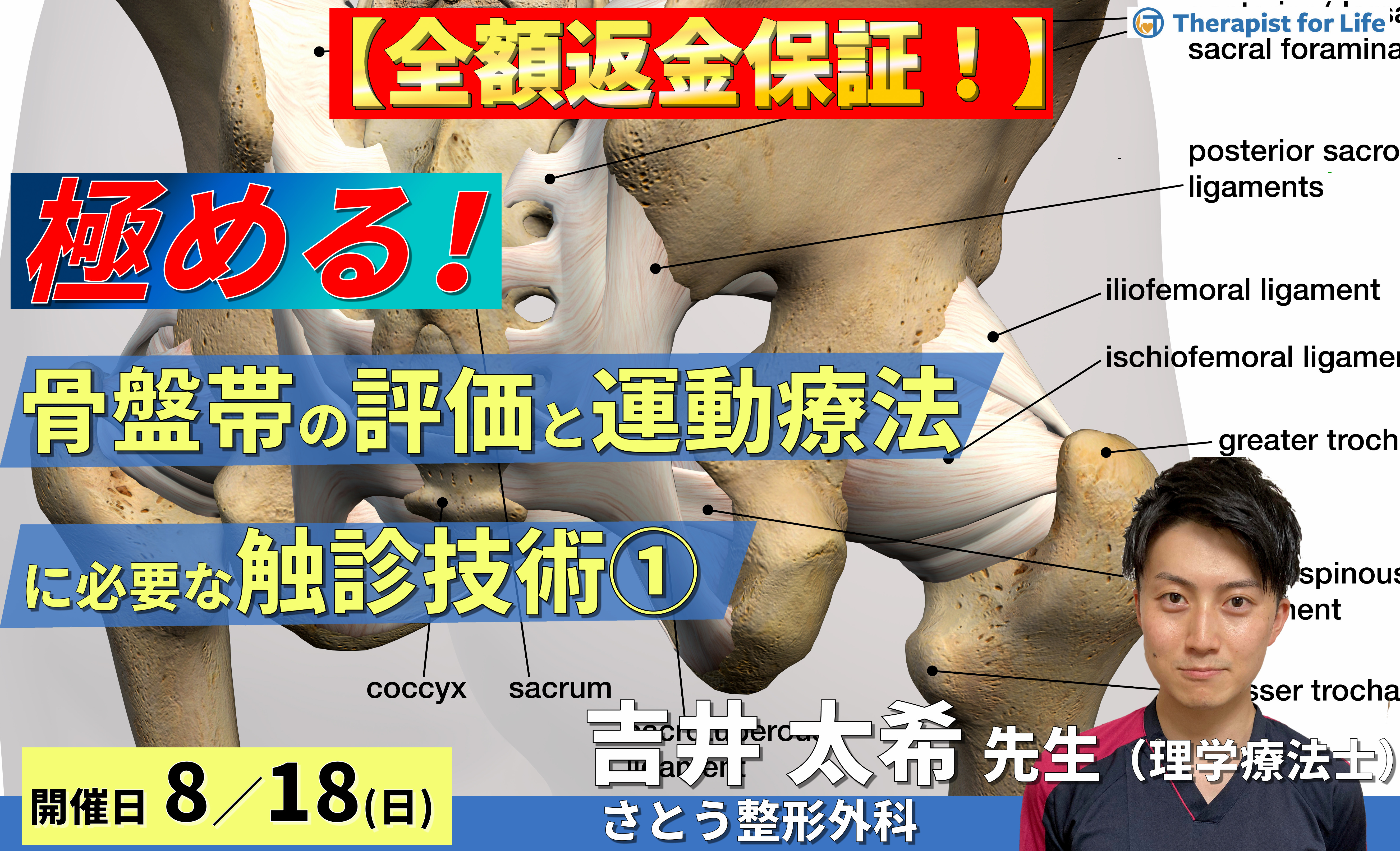 ※締切り間近【全額返金保証付き】骨盤帯の評価・運動療法を極めるために必要な触診技術【臀部編】〜骨・軟部組織・神経の触診と圧痛所見の取り方~ 講師:吉井太希先生