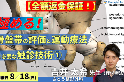  ※締切り間近【全額返金保証付き】骨盤帯の評価・運動療法を極めるために必要な触診技術【臀部編】〜骨・軟部組織・神経の触診と圧痛所見の取り方～　講師：吉井太希先生