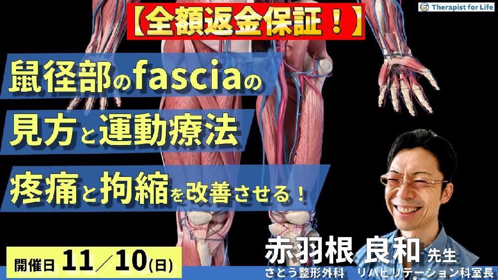 ※締切り間近【全額返金保証付き】股関節周囲のfascia(鼠径部)の見方と運動療法~拘縮と疼痛の評価と治療を見極める!〜 講師:赤羽根良和先生