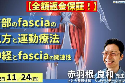 ※締切り間近【全額返金保証付き】股関節周囲のfascia（臀部）の見方と運動療法～臀部周囲を走行する神経とfasciaとの関連性について～　講師：赤羽根良和先生