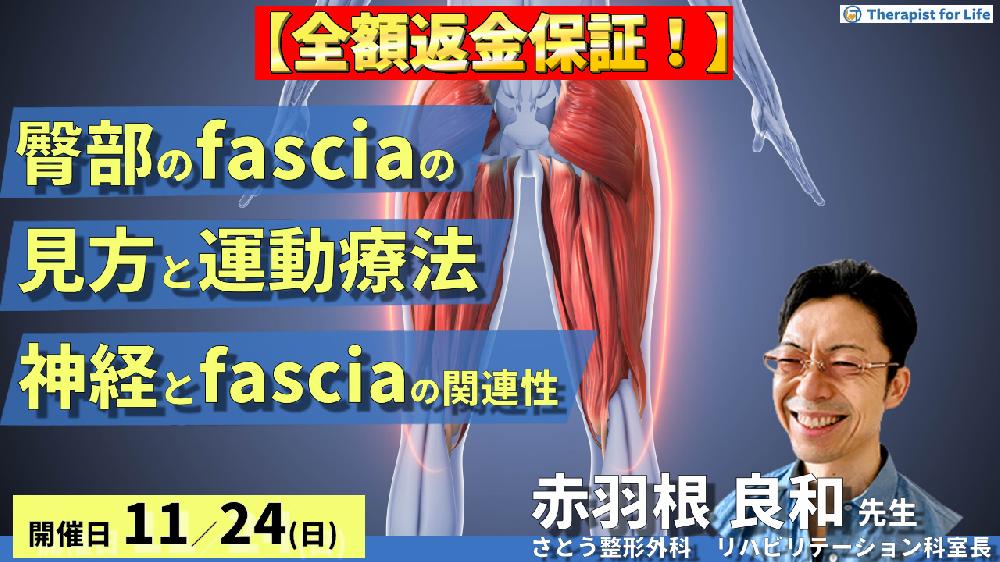 ※締切り間近【全額返金保証付き】股関節周囲のfascia(臀部)の見方と運動療法~臀部周囲を走行する神経とfasciaとの関連性について~ 講師:赤羽根良和先生