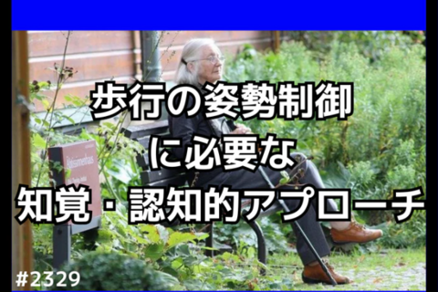 理学療法士や作業療法士が悩む歩行の姿勢制御に必要な知覚・認知的アプローチ