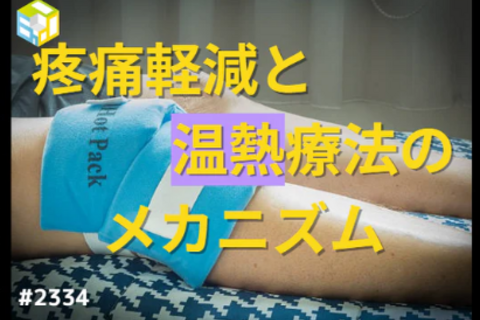 理学療法士や作業療法士のための温熱療法のメカニズム