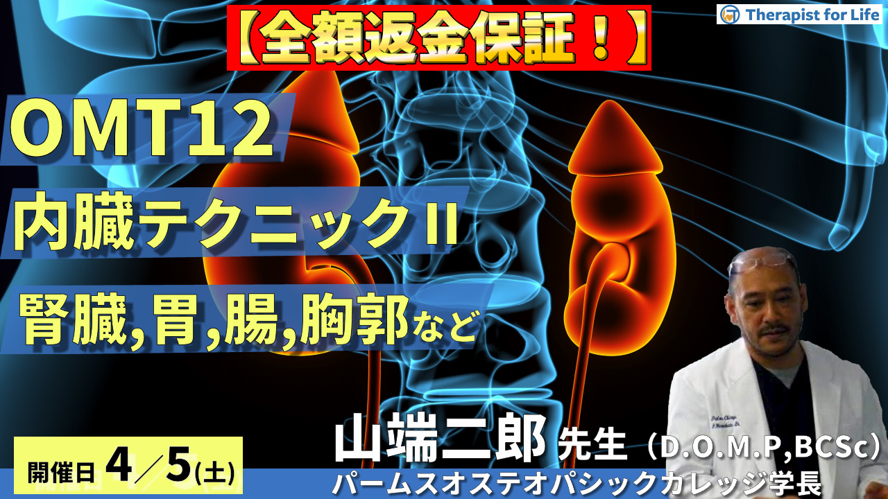 【全額返金保証付き】OMTコース:内臓テクニック2(腎臓、胃、腸、胸郭 etc.) 講師:山端二郎先生