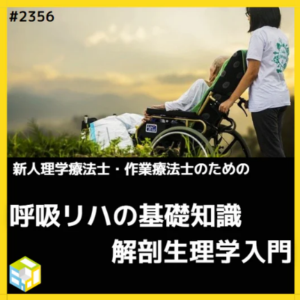 【動画配信サービス】若手セラピストのための呼吸リハの理解に必要な解剖生理学