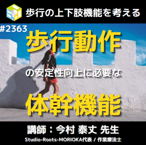 安定した歩行の獲得に必要な下肢と体幹の機能評価とリハビリ