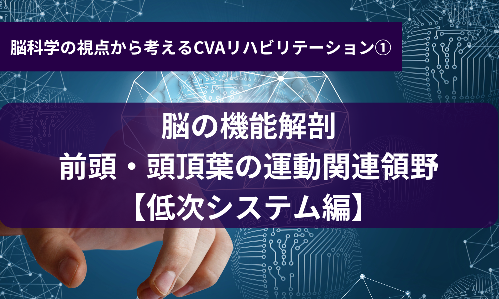 脳の機能解剖 前頭・頭頂葉の運動関連領野～低次システム編～CVAリハコース①
