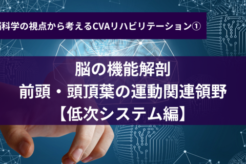 脳の機能解剖 前頭・頭頂葉の運動関連領野～低次システム編～CVAリハコース①
