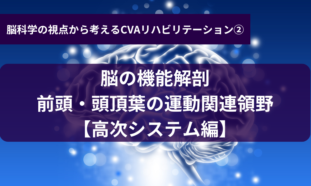 脳の機能解剖 前頭・頭頂葉の運動関連領野～高次システム編～CVAリハコース②