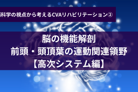 脳の機能解剖 前頭・頭頂葉の運動関連領野～高次システム編～CVAリハコース②