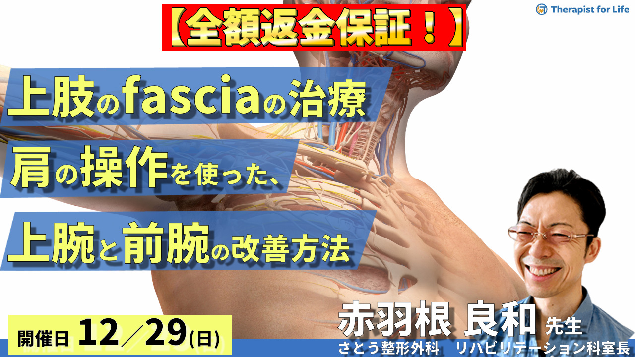 ※締切り間近【全額返金保証付き】上肢のfasciaの改善方法(肩の操作を使った、上腕+前腕の改善)~fasciaの治療に必要な知識と技術を身につける!〜 講師:赤羽根良和先生