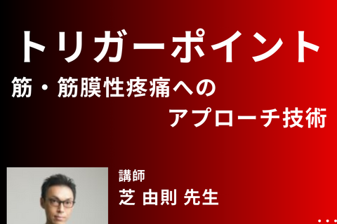 トリガーポイント療法を利用した筋・筋膜性疼痛に対するアプローチ技術｜大腿部・膝部・足部の疼痛と筋について