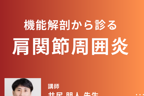 理学療法士・作業療法士のための機能解剖から診る肩関節周囲炎のリハビリ｜肩関節の解剖