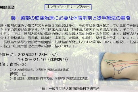 腰・殿部の筋痛治療に必要な体表解剖と徒手療法の実際