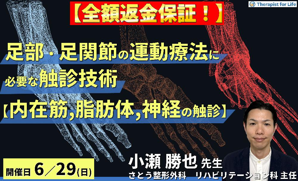 ※締切り間近【全額返金保証付き】足部・足関節の評価・運動療法に必要な臨床的触診技術2【内在筋・脂肪体・神経の触診】〜骨・筋軟部組織・神経の触診を臨床で活かすコツ~ 講師:小瀬勝也先生