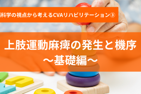 上肢運動麻痺の発生と機序～基礎編～