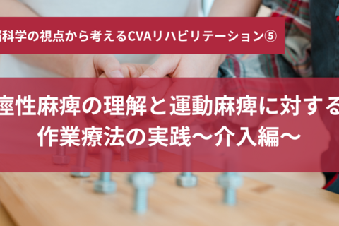 痙性麻痺の理解と運動麻痺に対する作業療法の実践～介入編～