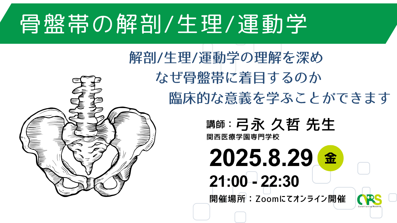 オンライン開催　骨盤帯の解剖/生理/運動学
